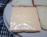 पॅन फ्रॉईड एग चीज सँडविच (egg cheese sandwich recipe in marathi) रेसिपी स्टेप 2 फोटो