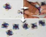 A picture of step 4 of Ajisai (hydrangea) Mizu Yōkan ; Wagashi.