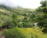 عکس مرحله 1 از دستور جوجه کباب