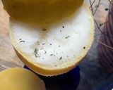 Une image de l'étape 10 de 🌻CITRON 🍋 GIVRÉ 🍃FRAÎCHEURE 🪻PARFUMÉE.