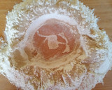 Foto del paso 2 de la receta: Pan rústico (Baguette)