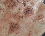 صورة لخطوة 6 من وصفة بيتزا سريعة بخبز الطابون 😋🤗