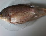 Foto langkah ke 1 dari resep Gurame bakar happycall (#postingrame2_ikan).