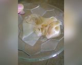 Foto langkah ke 8 dari resep Kulit wonton dan dumpling homemade.