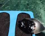 A picture of step 5 of Cakesicles.