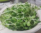 รูปขั้นตอนการทำที่ 2 ของ ผัดต้นอ่อนทานตะวันราดเต้าหู้ไข่ทอด