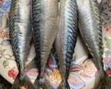 Une image de l'étape 1 de 🐬Filets 🌶️de maquereaux 🦈farcis le goût des épices 🪹🍂.