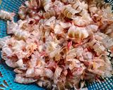 Foto langkah ke 1 dari resep Kaldu Udang Bubuk (Kulit Udang).