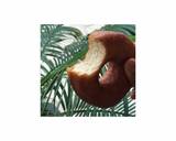 Best Donut Recipe recipe step 5 photo