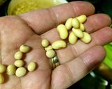 Foto del paso 1 de la receta: Cocina para principiantes: puchero fácil