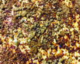 Foto del paso 6 de la receta: BUDÍN DE NARANJA (cáscara y pulpa) EN LICUADORA 🧉🥮🍊🍊🥧🧉