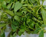 A picture of step 1 of Methi Thepla.