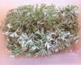 A picture of step 2 of Seriously crispy Tempura - carrot leaves      "Don’t throw away No.3".