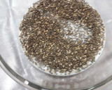ஃப்ரூட் அண்ட் நட் சியா சீட் புட்டிங் (Siya seed pudding recipe in Tamil) ரெசிபி ஸ்டேப் 2 புகைப்படம்
