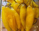 Foto del paso 1 de la receta: Ajíes rellenos 😋