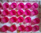 Foto langkah ke 2 dari resep Coklat Mete by incess.