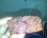 Foto langkah ke 10 dari resep Brownies pisang topping keju.