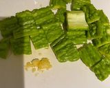 燜燒苦瓜的食譜步驟1照片