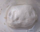 Foto del paso 6 de la receta Pan de molde
