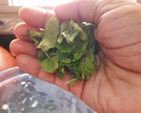 A picture of step 4 of Kachha Aam panna.
