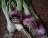 A picture of step 1 of Spring Onion Veg.