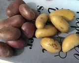 Une image de l'étape 1 de Duo de pommes de terre à la crème de truffe, ail et oignon.