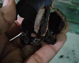 Foto langkah ke 2 dari resep Rawon khas Surabaya(ayam kampung).