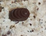 Foto del paso 11 de la receta: Bombones de chocolate rellenos de vino