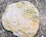 Foto del paso 4 de la receta: Sorrentinos de acelga con relleno de dos quesos