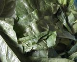 A picture of step 1 of Palak ghost.