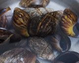 Foto del paso 1 de la receta: Escargot con macedonia de verduras