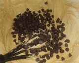A picture of step 10 of Chocolate Chip Cookie.