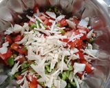 ચણા નો સલાડ (Chana Salad Recipe In Gujarati) રેસીપી સ્ટેપ2ફોટો