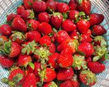 Foto langkah ke 1 dari resep Selai Strawberry Homemade 🍓.