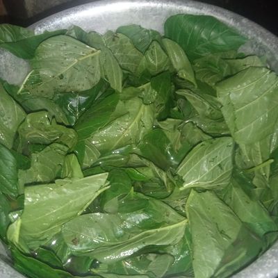 Langkah 4