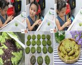 抹茶巧克力豆、蔓越莓餅乾的食譜步驟9照片
