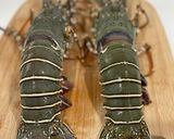 A picture of step 1 of Garlic Butter Lobster cheese ‼️.