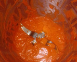 Foto del paso 4 de la receta: Merluza en salsa de pimientos en MC