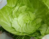 A picture of step 1 of Apple and Cabbage bowl fruit chat.