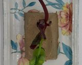 Foto del paso 6 de la receta: Mini huerta de paté hígado de pollos