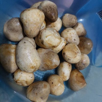 Langkah 1