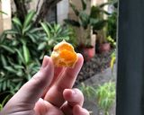 Foto langkah ke 15 dari resep Soes Kering Renyah #BikinRamadanBerkesan.