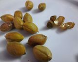 A picture of step 3 of Oven Roasted Hariboot or Green Chickpeas.