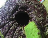 Foto langkah ke 6 dari resep Bolu santan pandan panggang, lembuuuuuuut,,.
