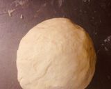 Foto del paso 3 de la receta: Empanadas criollas de pollo!