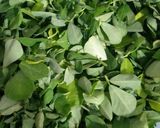 A picture of step 2 of Methi na Gota.