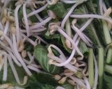 Foto langkah ke 1 dari resep Tumis tauge caisim sederhana.