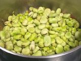 Habas frescas guisadas