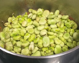 Foto del paso 2 de la receta: Habas frescas guisadas