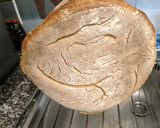 Foto del paso 11 de la receta: Pan redondo con masa madre (1 kg)